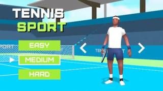 3D网球赛(3)
