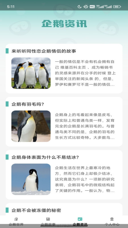 企鹅妙看(1)